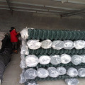 PVC Coated Frame Finishing /Chain Link Wire Mesh /Diamond Wire Mesh Made in China